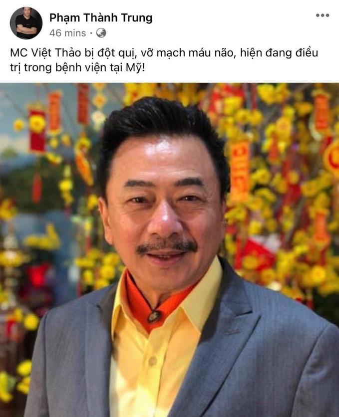 Tiểu sử MC, danh hài Việt Thảo