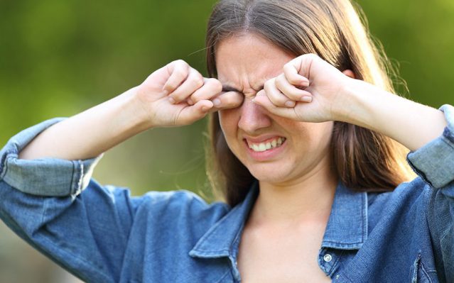 Ngứa bờ mi mắt là bệnh gì? Tất cả thông tin cần biết về tình trạng ngứa bờ mi mắt