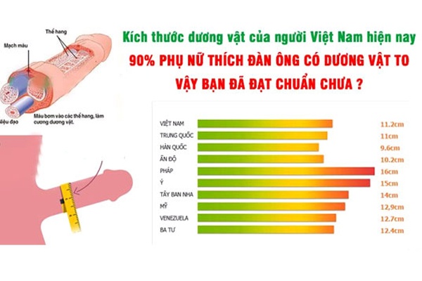Kích thước dương vật của nam giới Việt Nam so với nam giới các nước