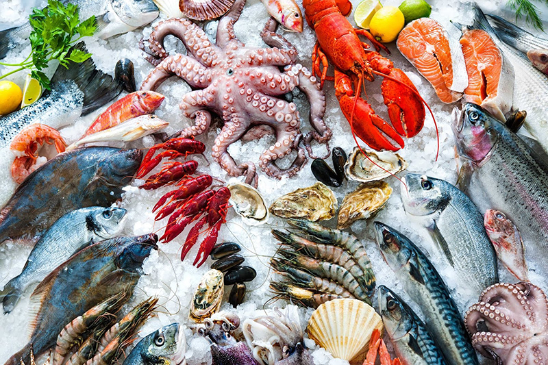 Nam giới nên bổ sung hải sản vào thực đơn dinh dưỡng của mình 