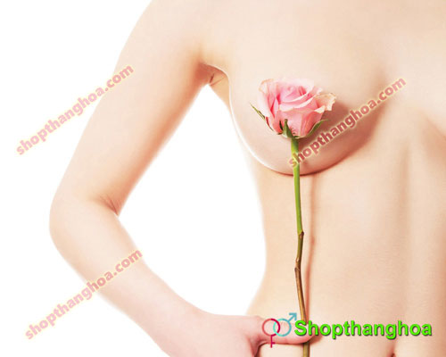 cấu trúc ngực phụ nữ