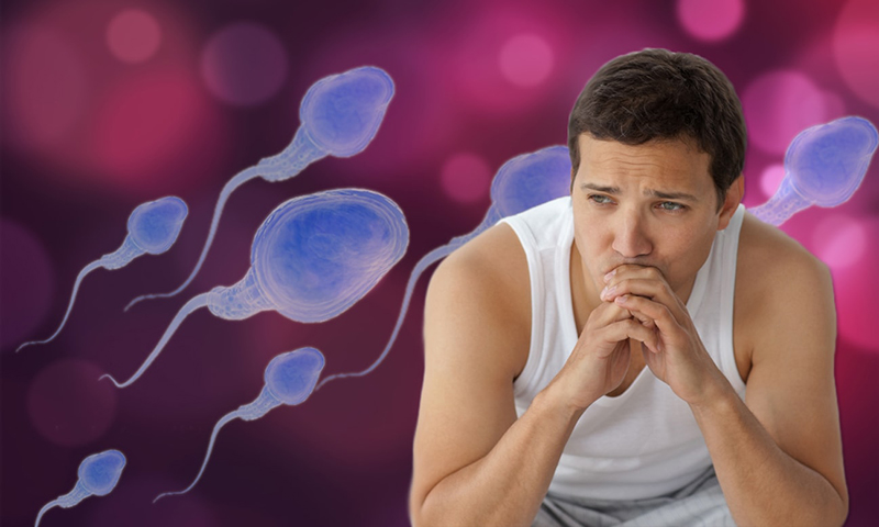 Chất lượng của tinh trùng ảnh hưởng rất nhiều đến quá trình thụ thai