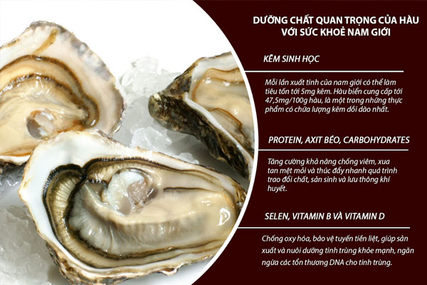 Oysters contain many nutrients that are good for male physiology.