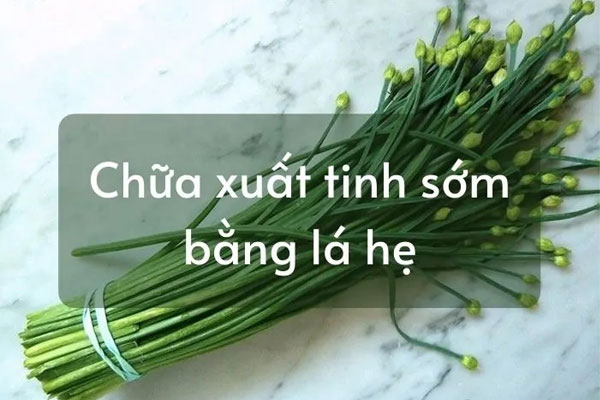 Lá hẹ là nguyên liệu dùng để nấu ăn quen thuộc của người dân Việt.