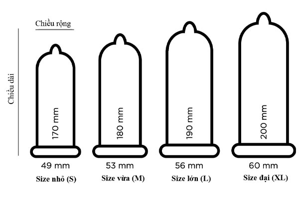 Bao cao su được chia làm 4 loại kích cỡ khác nhau