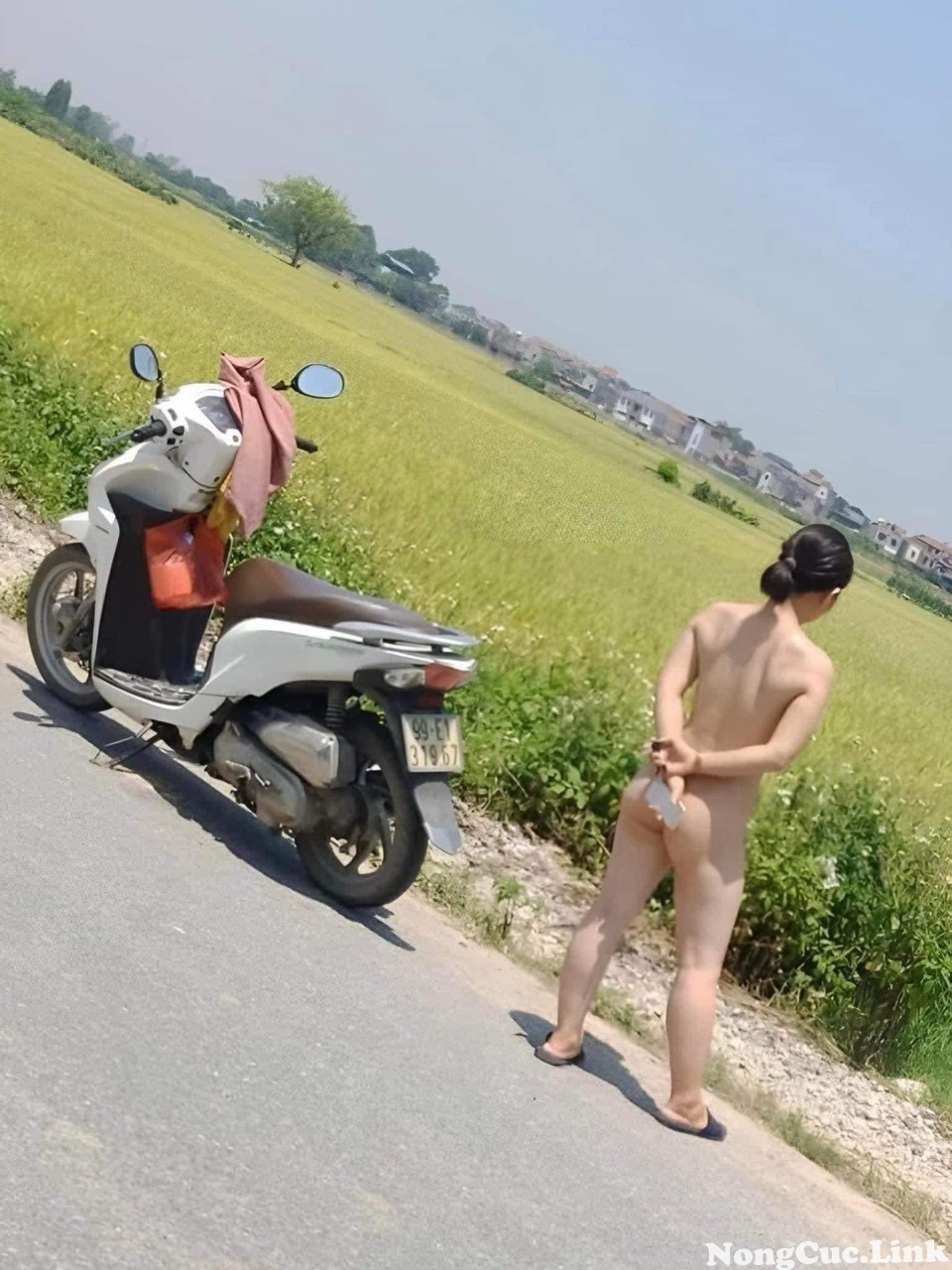 ma-toi-và-con-cho