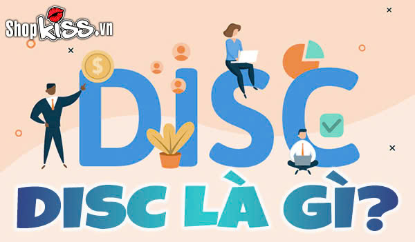DISC là gì? Tìm hiểu về 4 nhóm tính cách trong mô hình DISC